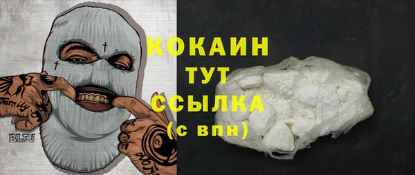 крисы Алзамай