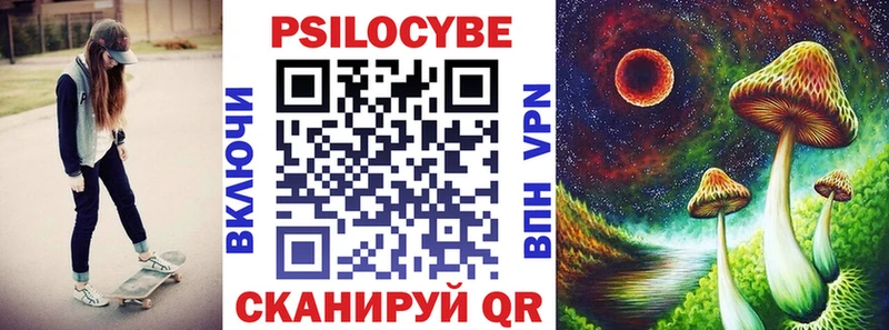 блэк спрут tor  Ермолино  Псилоцибиновые грибы Psilocybine cubensis 